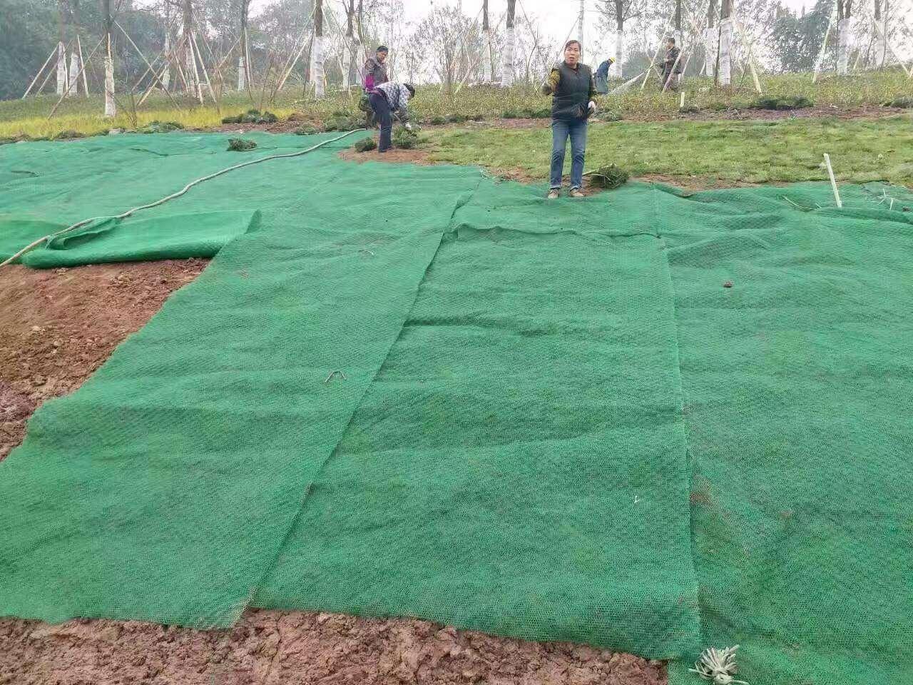 护坡三维植被网垫的拉力 三维植被网厂家