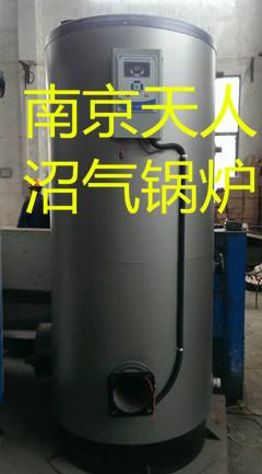 南京天人2014新技术沼气锅炉