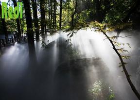 绿迪牌园林假山人造雾高压雾森喷雾系统