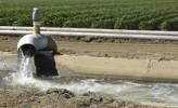 灌溉泵
