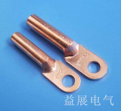 专业生产DT-50mm铜鼻子, DT双孔铜鼻子规格,线鼻子，益展电气