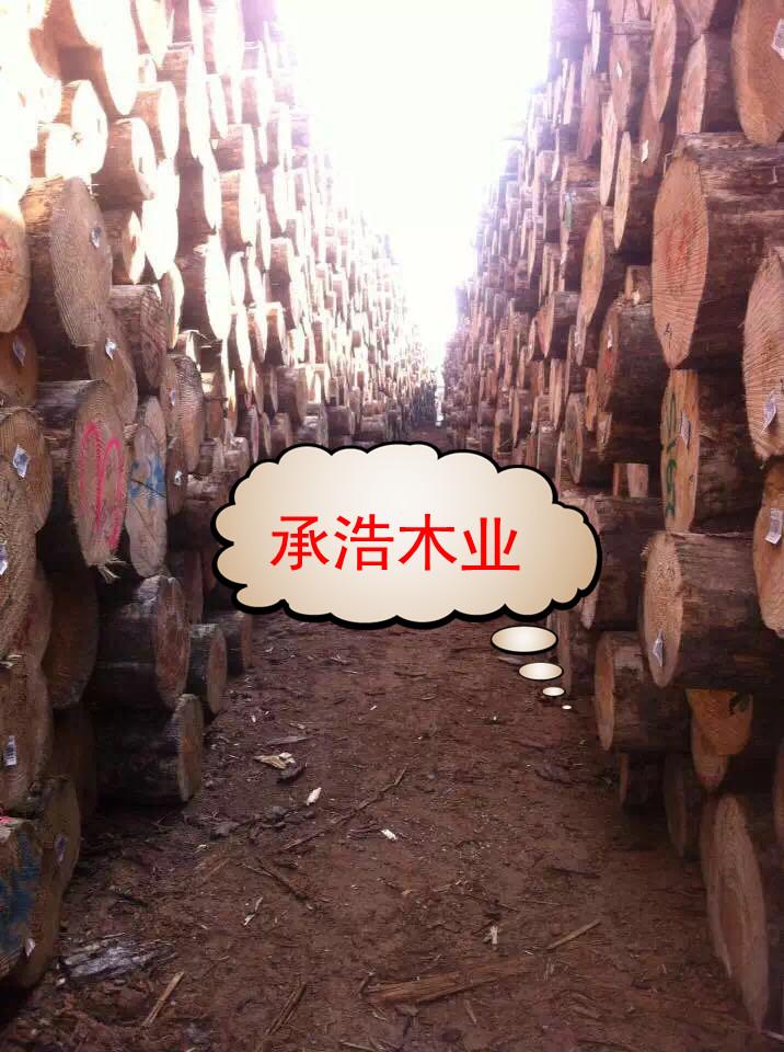 青岛铁杉工程方木规格