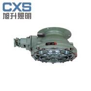 CBXD-100系列防爆吸顶灯