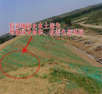 潍坊市三维固土网垫厂家，三维固土网垫作用，护坡原理
