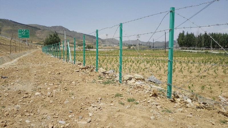 厂家生产养殖护网  刺铁丝围栏 刺绳护网系列 易安装价格优惠