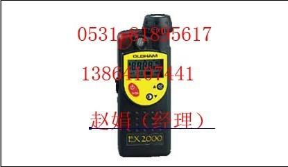 液化气报警器|可燃气体检测仪|可燃气体报警器EX2000