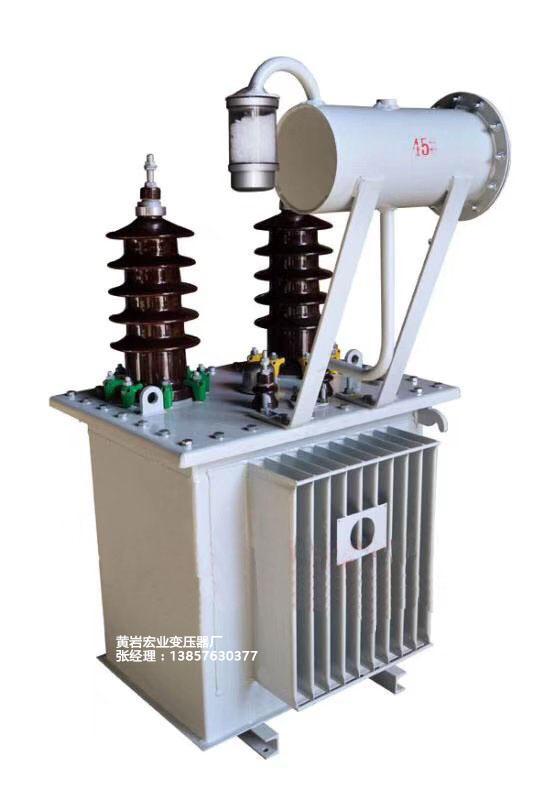 S11-30/10-0.4油浸电力变压器浙江黄岩宏业变压器厂