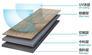 青岛PVC石塑复合地板设备