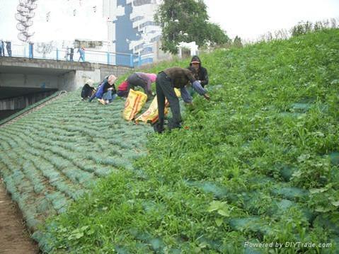 济南市植生袋施工，植生袋价格，植生袋报价