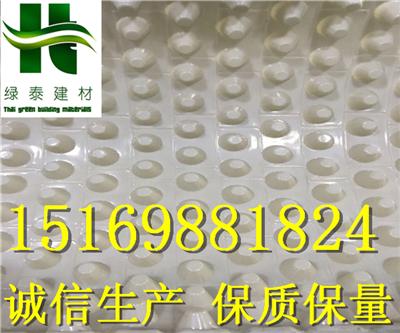  浙江嘉兴H20高车库绿化排水板铺设方法