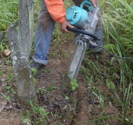 全新型树木移植机/铲式挖树机/轻便式移苗机