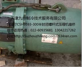 天津比泽尔CSH9593-300螺杆式压缩机抱轴维修