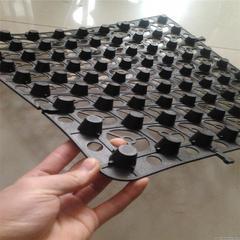 深圳塑料排水板价格/多少钱_排水板厚度规格便宜厂家