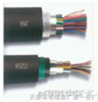 YC-J电动葫芦电缆