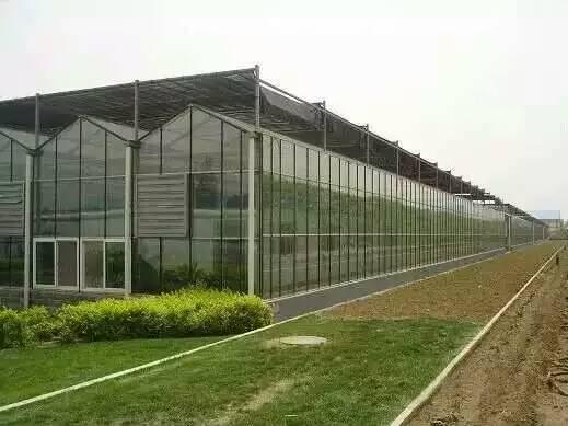 玻璃、简易、连栋、日光温室大棚每亩造价