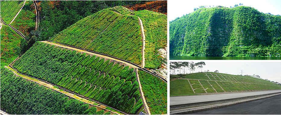 绿化种子边坡喷播山体复绿景绣生态治理多种坡面治理技术
