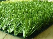 供应橄榄型单丝人工草坪