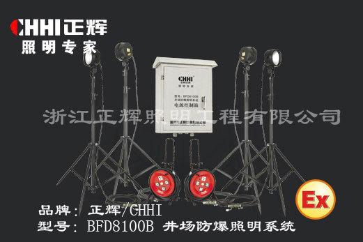 BFD8100B井厂防爆照明