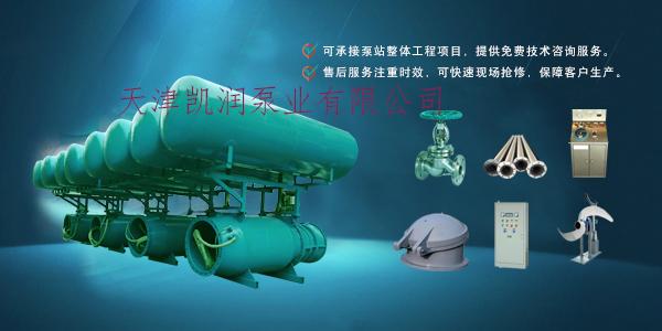 水产养殖用漂浮式潜水泵