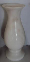 广西白花瓶MGV283