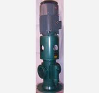 立式螺杆泵_立式三螺杆泵_SNS螺杆泵