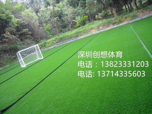 惠州足球场人造草坪哪家施工*好 施工专业找创想