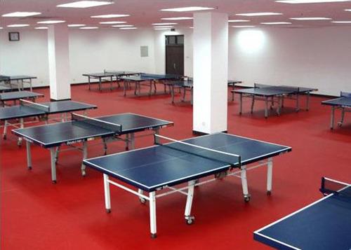 乒乓球专用地板场地专用地胶