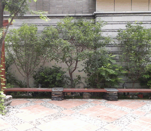 北京庭院设计公司，庭院实景案例