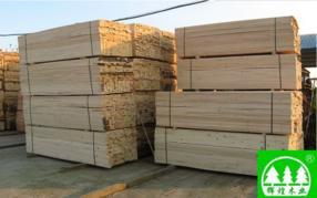 来宾建筑木方-来宾木材加工厂-供应建筑木方