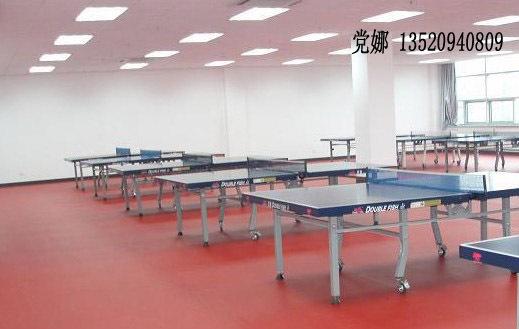 乒乓球地板,乒乓球地胶,乒乓球馆地板