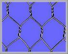 供应涂塑六角网，热镀锌六角网，电镀锌六角网，不锈钢丝六角网-安平嘉海五金丝网