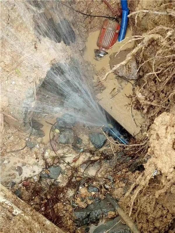 东莞市各小区埋地消防管道漏水检测 物业埋地自来水管漏水检测