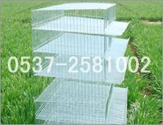 买优质王氏笼业供应运输笼 鹌鹑笼、套笼、折叠笼 养殖笼