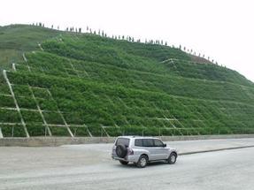 高速公路边坡绿化