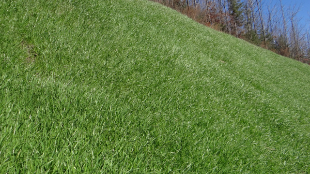 绿化喷土机