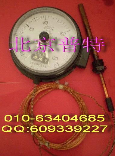 WTZ（Q)288压力式电接点温度计售价