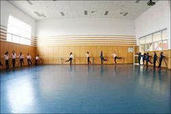 专业舞蹈地板。专业舞蹈房地板。专业舞蹈学院地板。专业芭蕾舞蹈地板