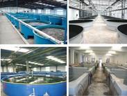 汕头水产养殖水处理|佛山养殖水处理设备