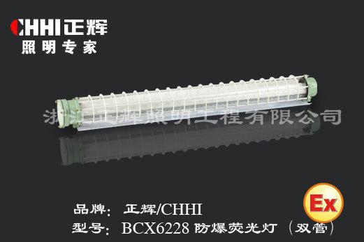 BCX6228防爆荧光灯
