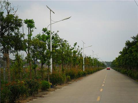 四川达州遂宁宜宾广元重庆地区新农村太阳能路灯