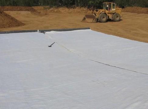 顺德区膨润土防水毯（覆膜）防水毯