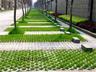 草坪砖 北京草坪砖 生产草坪砖 销售草坪砖