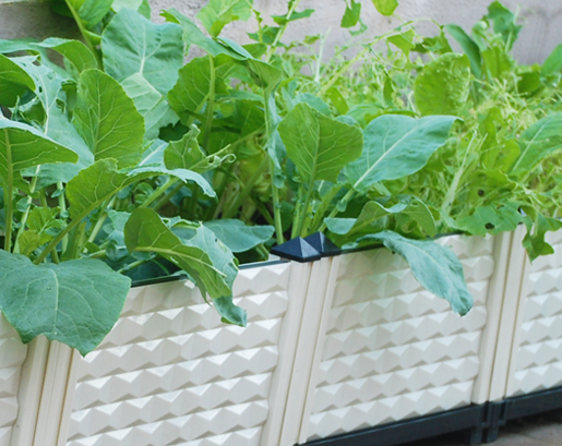 阳台种植箱种菜盆组合长方形塑料浅花盆