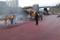扬州天乐湖欢乐谷彩色艺术地坪、混凝土压模地坪