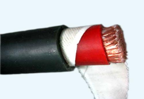 ZR-DJYPVPR电缆(图)