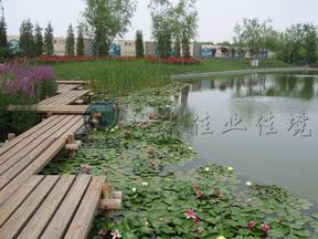 北京景观水处理工程