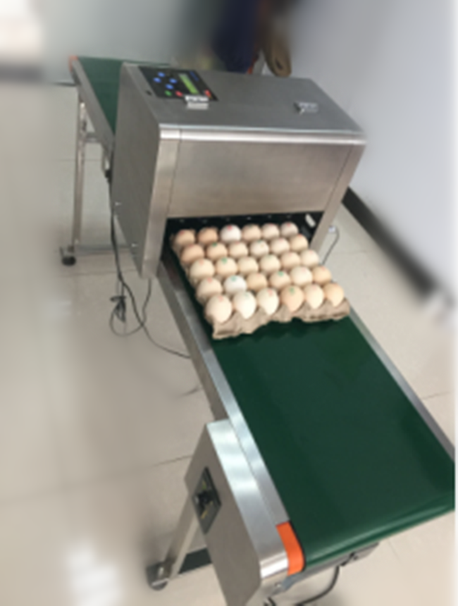 全国供应鸡蛋喷码机设备
