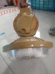 SBD1102-YQL40,免维护防爆电磁感应灯