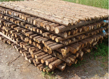 平乐建筑木方-平乐木材加工厂-供应建筑木方