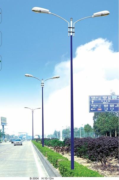 深圳供应道路灯，10米路灯，LED路灯